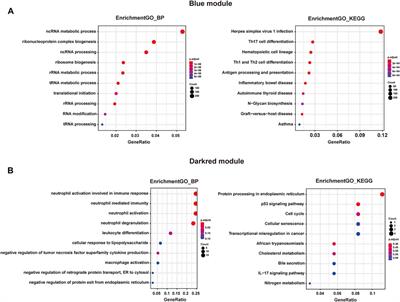 Identification of Hub Genes With Differential Correlations in Sepsis